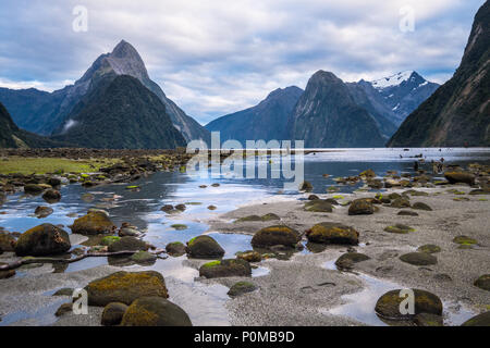 Milford Sound (Piopiotahi) è una famosa attrazione nel Parco Nazionale di Fiordland,'Isola Sud della Nuova Zelanda Foto Stock