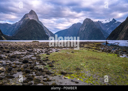 Milford Sound (Piopiotahi) è una famosa attrazione nel Parco Nazionale di Fiordland,'Isola Sud della Nuova Zelanda Foto Stock