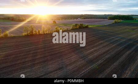 Fotografia aerea adottate da fuco durante il tramonto sopra le colture a filari piantati in campi di fattoria, con viale alberato dei filari di recinto, nelle zone rurali del Wisconsin, USA Foto Stock