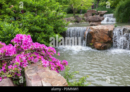 Yangzhou, Jiangsu, Cina. Flusso e azalee nel giardino fiorito della esile West Lake Park. Foto Stock