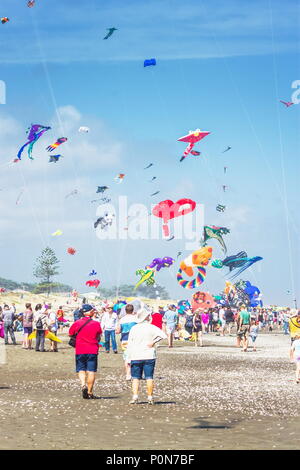 Otaki, Nuova Zelanda - 5 Marzo, 2016: le persone che si godono la Otaki annuale Kite Festival che si tiene in estate sulla bellissima Costa di Kapiti della Nuova Zelanda. Foto Stock