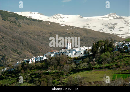 Il villaggio Alpujarran di Capileira in alto alle cime innevate della Sierra Nevada in Spagna in Andalusia. Foto Stock