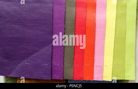 Pezzi di materiale di pelle per esempio nel catalogo di colori differenti per il design studio Foto Stock