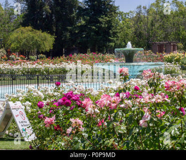 Fontana al San Jose Municipal Rose Garden, San Jose California Foto Stock