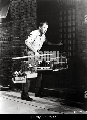 Pellicola originale titolo: Birdman of Alcatraz. Titolo inglese: Birdman of Alcatraz. Regista: John Frankenheimer. Anno: 1962. Stelle: BURT LANCASTER. Credito: United Artists / Album Foto Stock