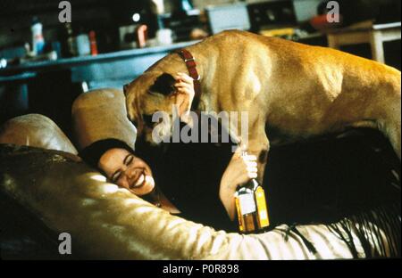 Pellicola originale titolo: la verità su cani e gatti. Titolo italiano: la verità su cani e gatti. Regista: Michael Lehmann. Anno: 1996. Stelle: Janeane Garofalo. Credito: 20TH CENTURY FOX / Album Foto Stock