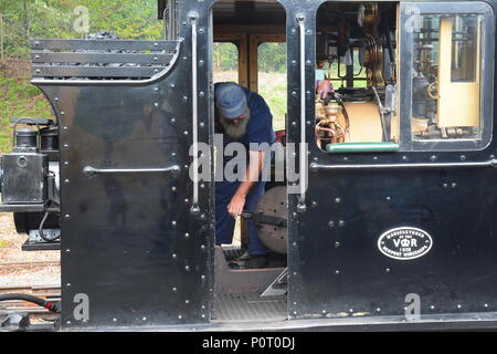 Il Puffing Billy, Australia premier conserve di treni a vapore, Melbourne Foto Stock