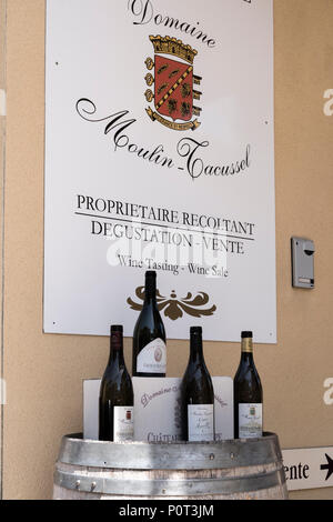 Chateauneuf du Pape Carpentras Vaucluse Provenza-Alpi-Costa azzurra Francia Foto Stock