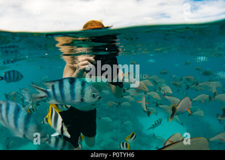 Gli amanti dello snorkelling godendo i bellissimi pesci presso l' acquario' a Rangiroa Atoll, gruppo Tuamotu, Polinesia Francese Foto Stock