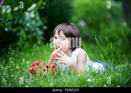 Carino per bambini in età prescolare, boy, mangiare fragole in un giardino, estate Foto Stock