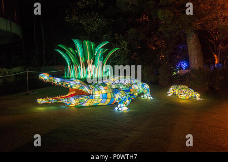 Coccodrillo di acqua salata al Taronga Zoo per Vivid Sydney 2018 Foto Stock