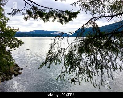 Il lago di Cushman, il Parco Nazionale di Olympic, Washington Foto Stock