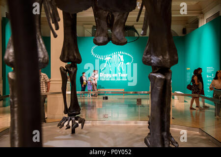 Birmingham, Regno Unito. Il 10 giugno 2018. Dippy on tour è il Museo di Storia Naturale di scheletro Diplodocus noto come Dippy sarà sul display dal 26 maggio fino al 9 settembre è un libero ticketed event Foto Stock