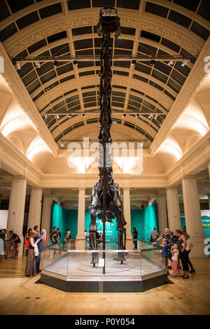 Birmingham, Regno Unito. Il 10 giugno 2018. Dippy on tour è il Museo di Storia Naturale di scheletro Diplodocus noto come Dippy sarà sul display dal 26 maggio fino al 9 settembre è un libero ticketed event Foto Stock