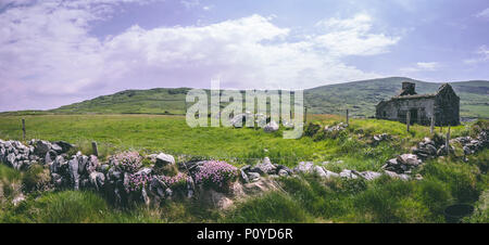 Abbandonato rock house senza un tetto in campi verdi attraverso la Valentia faro di Cromwell punto nella contea di Kerry, Irlanda Foto Stock