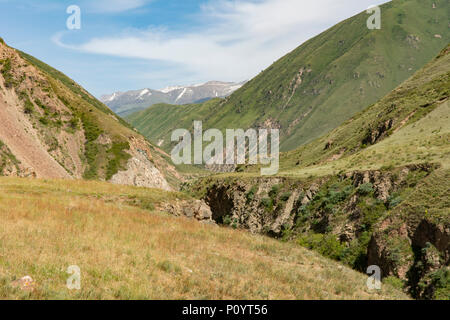 Chon Kemin Valley, Kirghizistan Foto Stock