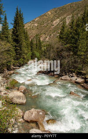 Nel fiume Jety Oguz Gorge, vicino a Karakol, Kirghizistan Foto Stock