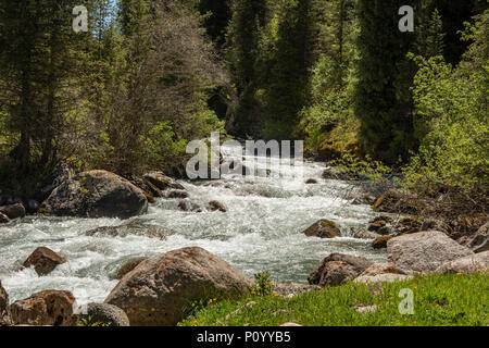 Nel fiume Jety Oguz Gorge, vicino a Karakol, Kirghizistan Foto Stock