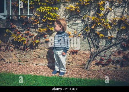 Un po' di toddler boy in smart il vestito è ottenere i suoi capelli soffiata dal vento vicino a una parete con una pianta rampicante Foto Stock