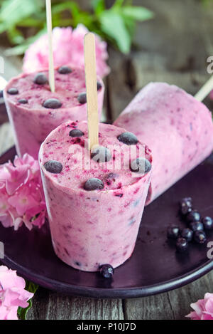 Sana dessert estivo. Gelato con popsicles congelate di ribes nero, menta fresca e bacche di rosa fiori di glicine sulla piastra nera su rustico scuro Foto Stock