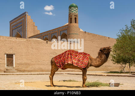 Cammello per foto turistiche, Khiva, Uzbekistan Foto Stock