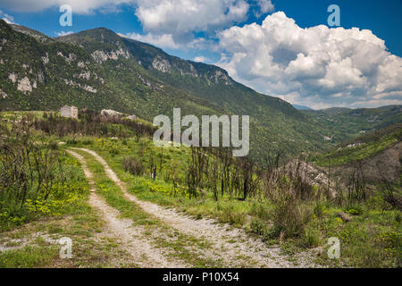 Pista sterrata in abbandonato capanna di pastore, Lepidotterofauna, il Parco Nazionale del Pollino, Calabria, Italia Foto Stock