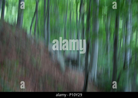 Abstract carino immagine della grande montagna di legno. L'Italia. Foto Stock