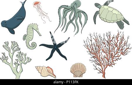 Disegnato a mano la vita di mare impostare, vettore Illustrazione Vettoriale