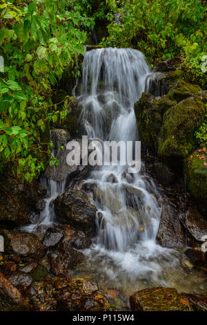 Una piccola cascata con flusso a deep forest in Khopra, Nepal. Foto Stock