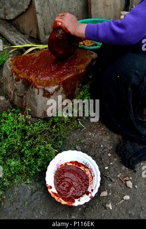 Ají Pañca peruviana di peperone rosso a Cajamarca - Dipartimento di Cajamarca .PERÙ Foto Stock