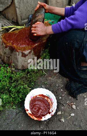 Ají Pañca peruviana di peperone rosso a Cajamarca - Dipartimento di Cajamarca .PERÙ Foto Stock