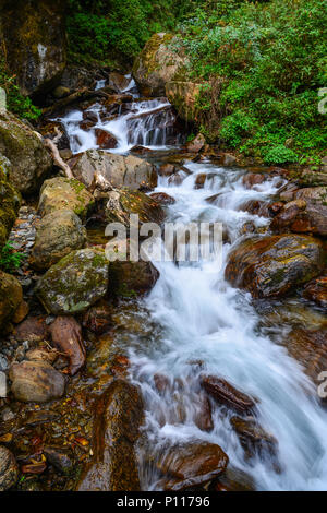 Una piccola cascata con flusso a deep forest in Khopra, Nepal. Foto Stock