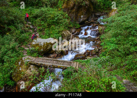 Una piccola cascata con flusso a deep forest in Khopra, Nepal. Foto Stock