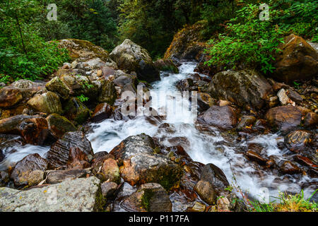 Una piccola cascata con flusso a deep forest in Khopra, Nepal. Foto Stock