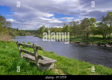 Vecchio weathered panca in legno sulla riva lungo il fiume Spey in primavera a Grantown-on-Spey, Highland, murene, Scotland, Regno Unito Foto Stock