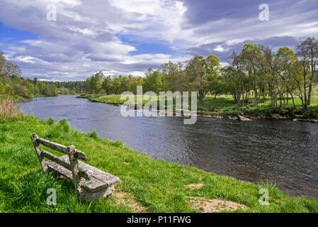 Vecchio weathered panca in legno sulla riva lungo il fiume Spey in primavera a Grantown-on-Spey, Highland, murene, Scotland, Regno Unito Foto Stock