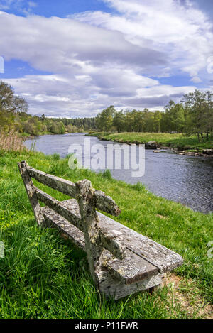 Vecchio weathered panca in legno sulla riva lungo il fiume Spey in primavera a Grantown-on-Spey, Highland, murene, Scotland, Regno Unito Foto Stock