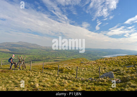 Walker salita stile su Aran Fawdddwy, Bala Foto Stock