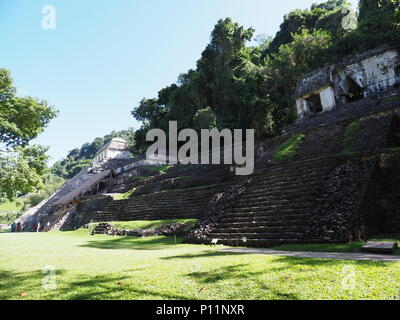 Grande tre piramidi pietroso alla antica città maya di Palenque in Messico a paesaggi giungla verde, piante e alberi tropicali, cielo blu chiaro nel 2018 W Foto Stock