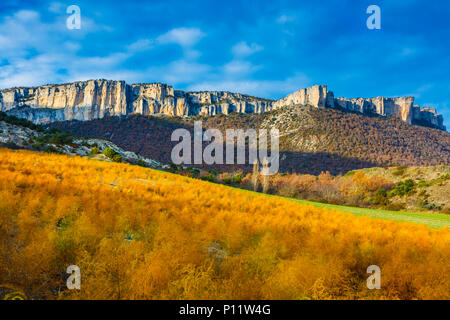 Impianto di asparagi e la gamma della montagna. Foto Stock