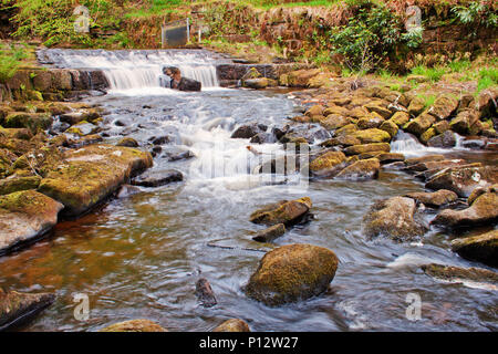 La sezione superiore di Hebden Beck, Hebden Bridge, Yorkshire Foto Stock