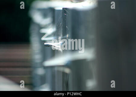 Close up di chiodi coperti in spiderwebs sul ponte Foto Stock