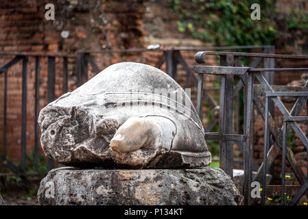 Una punta rimane sulla scultura antica di un piede ancora visto sul Colle Palatino in Roma, binari di nero e rosso mattone con foglie in background, orizzontale. Foto Stock