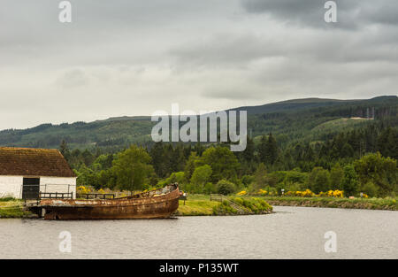 Fort Augustus, Scozia - Giugno 11, 2012: Oich Canal dietro le serrature. Paesaggio bucolico con barca arrugginito relitto. Green hils con fiori di colore giallo su horizo Foto Stock