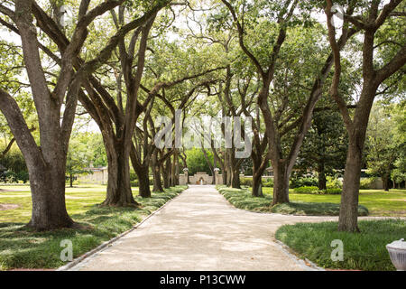 La Quercia Allee di fronte Longue Vue House di New Orleans, in Louisiana, Stati Uniti d'America. Foto Stock