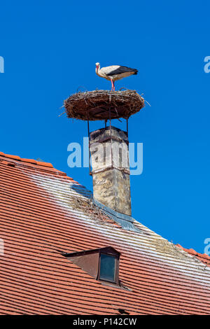 Nido di cicogna in un villaggio austriaco ruggine Foto Stock