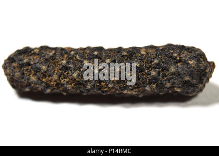 Indiano pepe lungo (piper longum) isolato, extreme closeup (macro) Foto Stock