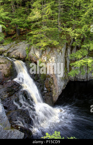 Una bella cascata fluisce verso il basso in un flusso al di sotto di Foto Stock
