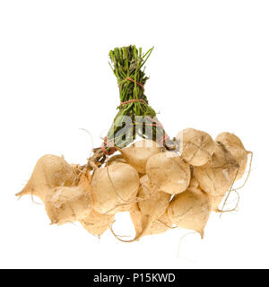 Jicama su sfondo bianco Foto Stock