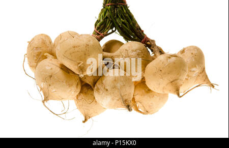 Jicama su sfondo bianco Foto Stock